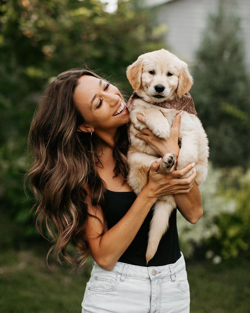Cutie Golden Retriever Doggo Videos Will Make You Smile