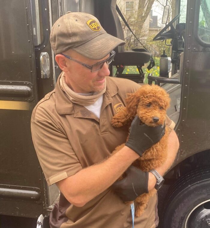 40 Instances Of UPS Drivers Running Into Dogs That Made Their Job A Whole Lot Better